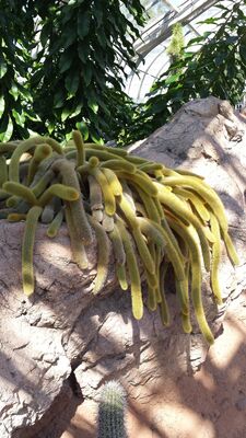 20130815_160334.jpg