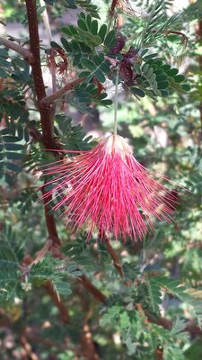 20130815_160355.jpg