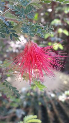20130815_160415.jpg