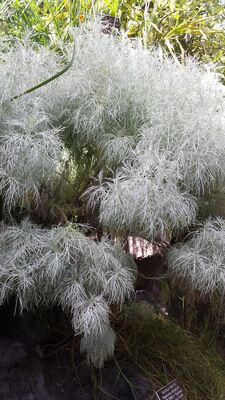 20130815_160445.jpg
