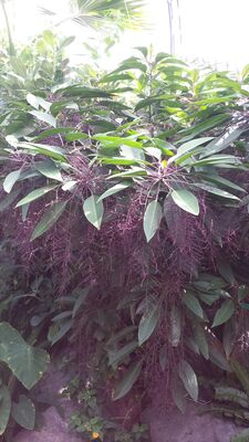 20130815_160455.jpg