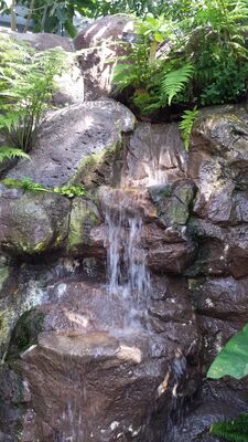 20130815_160506.jpg