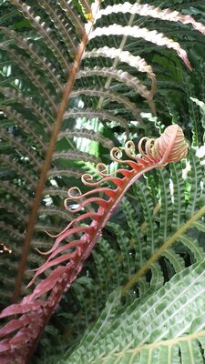 20130815_160549.jpg