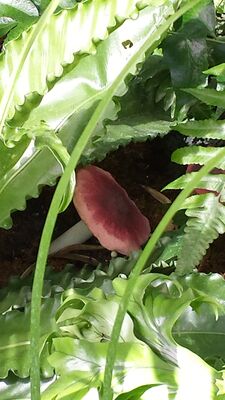 20130815_160609.jpg