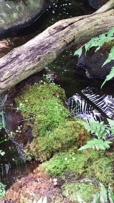 20130815_160629.jpg