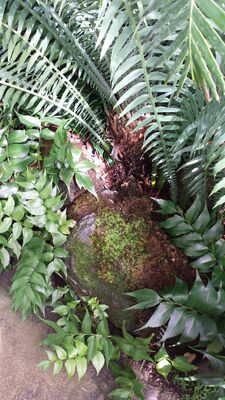 20130815_160743.jpg