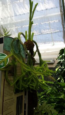 20130815_160752.jpg