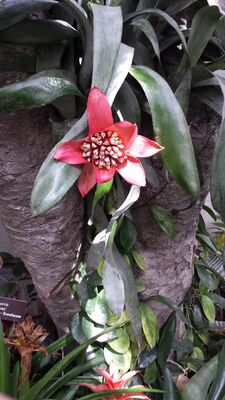 20130815_160810.jpg