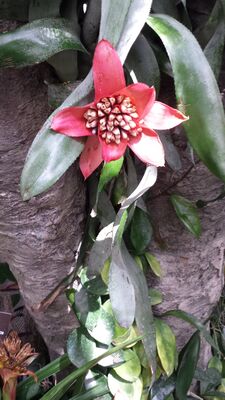 20130815_160818.jpg