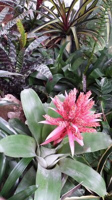 20130815_160828.jpg