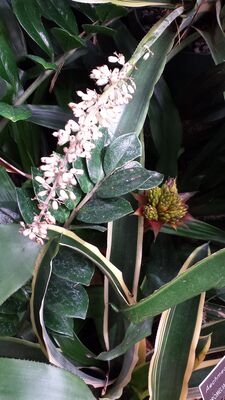 20130815_160837.jpg