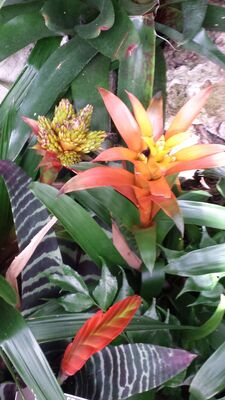 20130815_160845.jpg