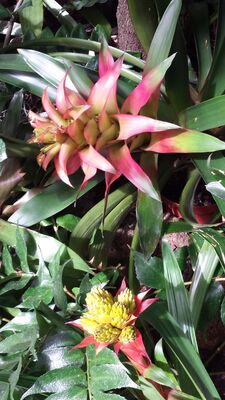 20130815_160850.jpg