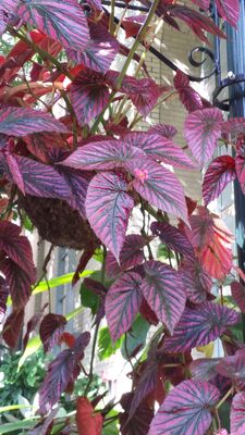 20130815_160923.jpg