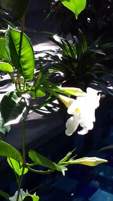 20130815_160942.jpg