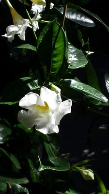 20130815_160950.jpg