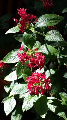20130815_160958.jpg