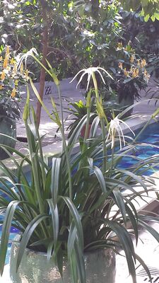 20130815_161028.jpg