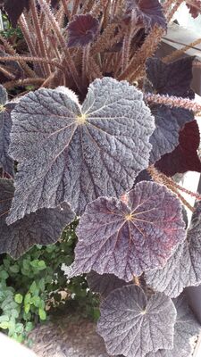 20130815_161109.jpg