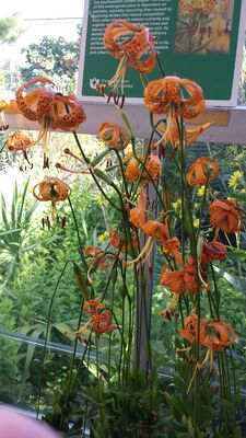 20130815_161136.jpg