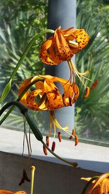 20130815_161148.jpg