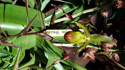 20130815_161244.jpg