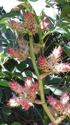 20130815_161251.jpg