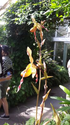 20130815_161304.jpg