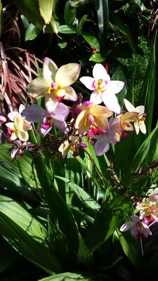 20130815_161322.jpg