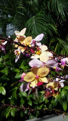 20130815_161330.jpg