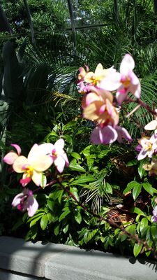 20130815_161341.jpg
