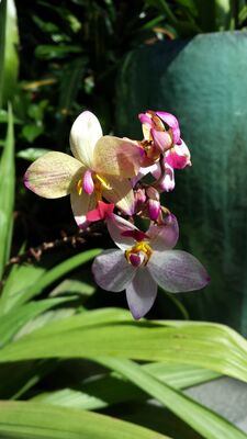 20130815_161349.jpg