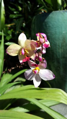 20130815_161354.jpg