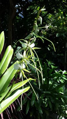 20130815_161404.jpg