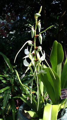 20130815_161412.jpg