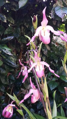 20130815_161428.jpg