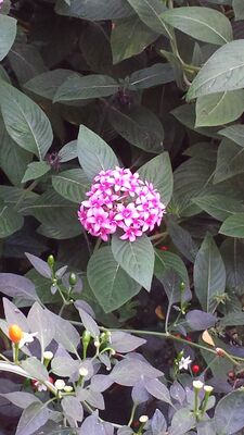 20130815_161436.jpg