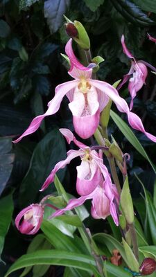 20130815_161459.jpg
