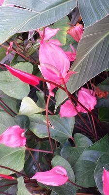 20130815_161509.jpg