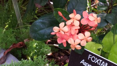 20130815_161556.jpg