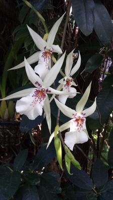 20130815_161634.jpg