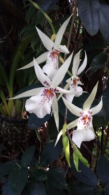 20130815_161638.jpg