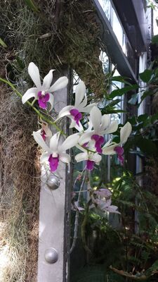 20130815_161655.jpg