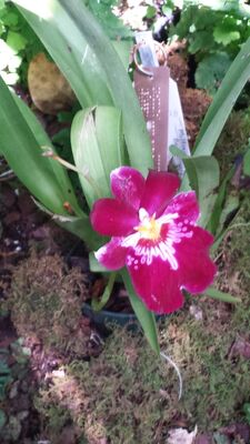 20130815_161712.jpg