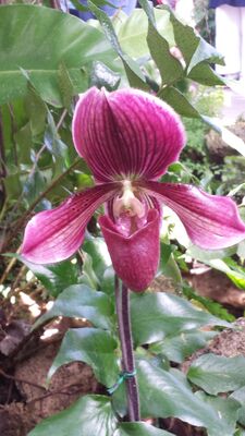 20130815_161737.jpg
