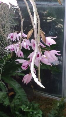 20130815_161804.jpg