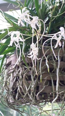 20130815_161810.jpg