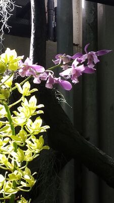 20130815_161817.jpg