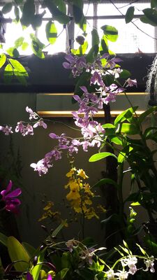 20130815_161824.jpg