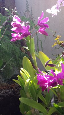 20130815_161832.jpg